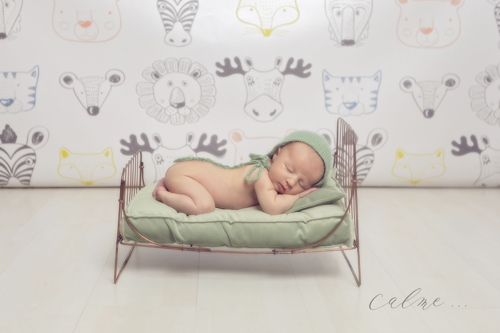 Mélanie Durand Photographe- séance photo enfant-séance photo bébé- photographe Aix en Provence- photographe Marseille- photographe Ventabren- photo studio-photographe de famille- fond studio- accessoire photo- Canon France- baby photography- little boy- photo petit garçon -photographe portraitiste-photographe PACA- photographe France- photo nouveau né- carte cadeau- bon cadeau- page accueil- photographe maternité-newborn photography-photo de famille- family photography-photo couleur- shooting bébé- shooting nouveau né-photo mise en scène